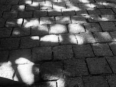 -青岛大学路小学