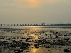 -宝安西湾红树林湿地公园