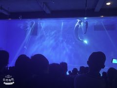 -芜湖新华联大白鲸海洋公园