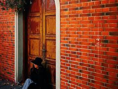 -上海佘山国家森林公园西佘山园