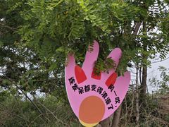 -银沙滩浴场