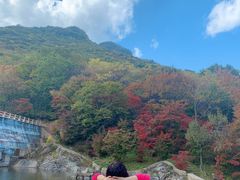 -龙道沟景区