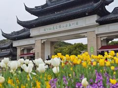 -苏州上方山国家森林公园
