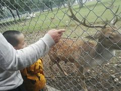 -西安秦岭野生动物园