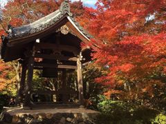-常寂光寺