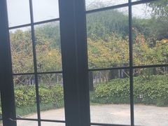 -荷风细雨·中国茶宴(碧云店)