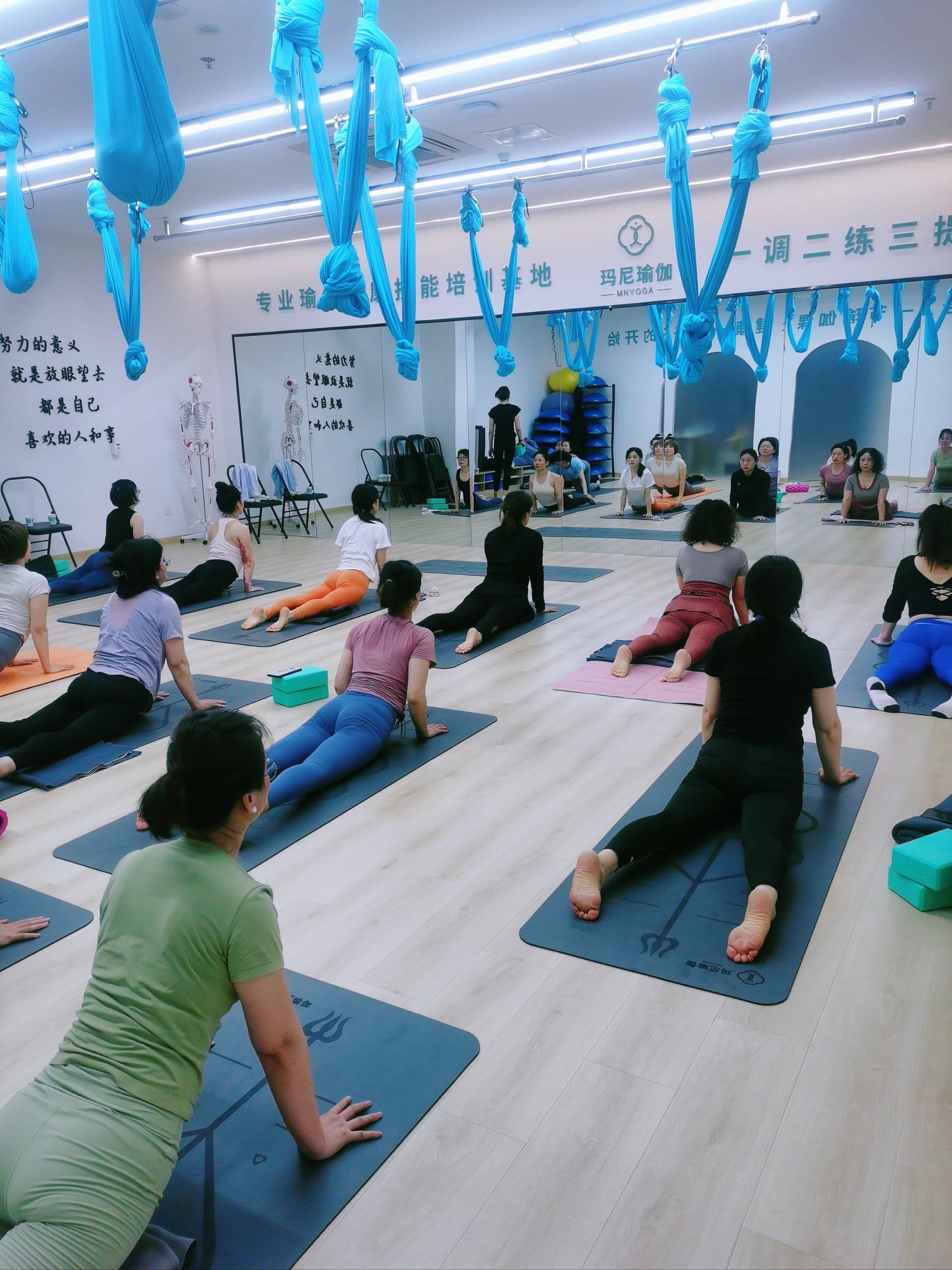 女神们的瑜伽课