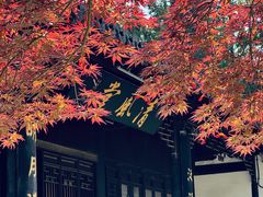 -苏州碑刻博物馆