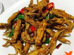 -大萝卜烧烤羊蝎子烤全羊(新城河路店)