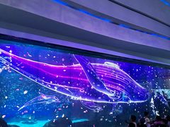 -海合安成都极地海洋公园
