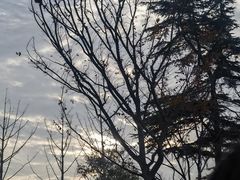 -世纪缘湖滨花园酒店(玄武湖店)