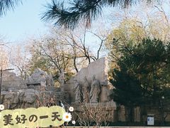 -元大都城垣遗址公园