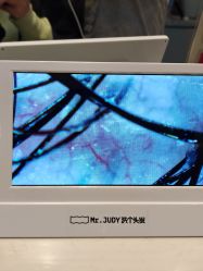 -Mr.JUDY洗个头发