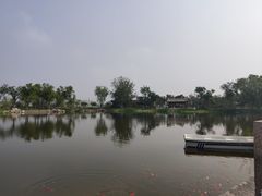 -西海子公园