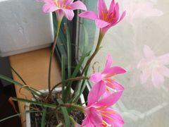 -老胶东家常菜馆(市场一路店)