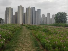 -汉江湾体育公园