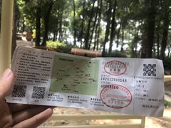 -东湖落雁景区