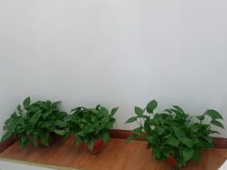 -SOR索尔祛痘·面部肌肤管理