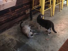 -MIKAKU(万达广场上海宝山店)