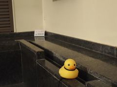 -春晖园度假酒店温泉