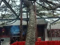 -红螺寺