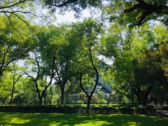 -山东大学(趵突泉校区)