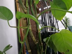 -V8潮牌·接发烫染连锁