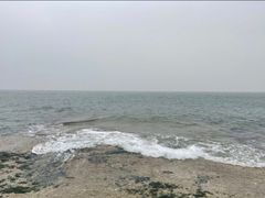 -渡海小渔村.老辈日照菜