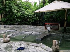 -碧水湾温泉