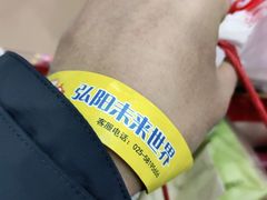 -弘阳·未来世界(弘阳广场店)