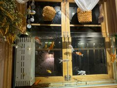 -0907餐厅(核桃园店)