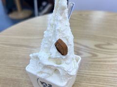 -野人先生Gelato(上海长宁龙之梦店)