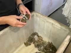 -黄记大闸蟹专卖店·活蟹·醉蟹