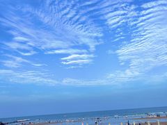 -日照海滨国家森林公园