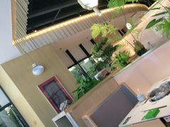 -马家斑.鲜鱼火锅(松湖万科店)