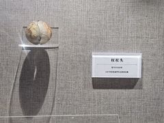 -巴音郭楞蒙古自治州博物馆