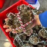 大闸蟹季,开启美味模式!
