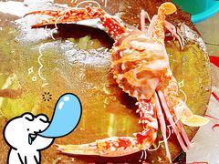 -鸿港海鲜批发市场