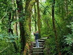 -云南屏边大围山国家公园