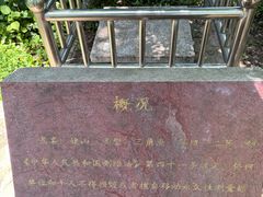 -巢湖姥山岛