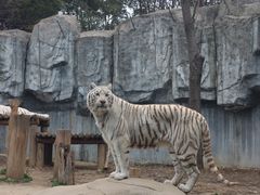 -常州淹城野生动物世界