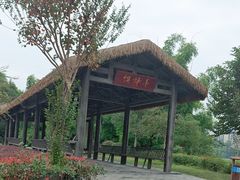 -枫香湖儿童公园