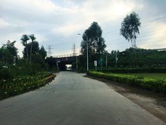 -低涌(地铁站)