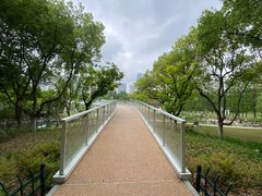 -昆山城市公园