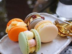 -T館·花园艺术餐厅