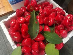 -老炳·七丛松甘草水果