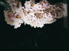 -成都市活水公园