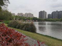 -南翔镇银翔湖公园