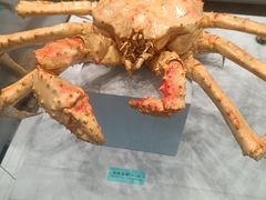 -天津自然博物馆