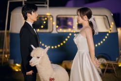 点击看大图 -花漾摄影优选工作室(东莞原创作品店)